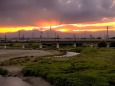多摩川の夕景を走る京王電車