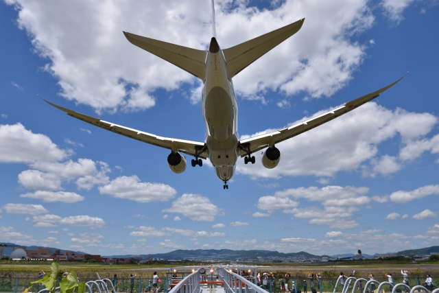 B787-8 Landing