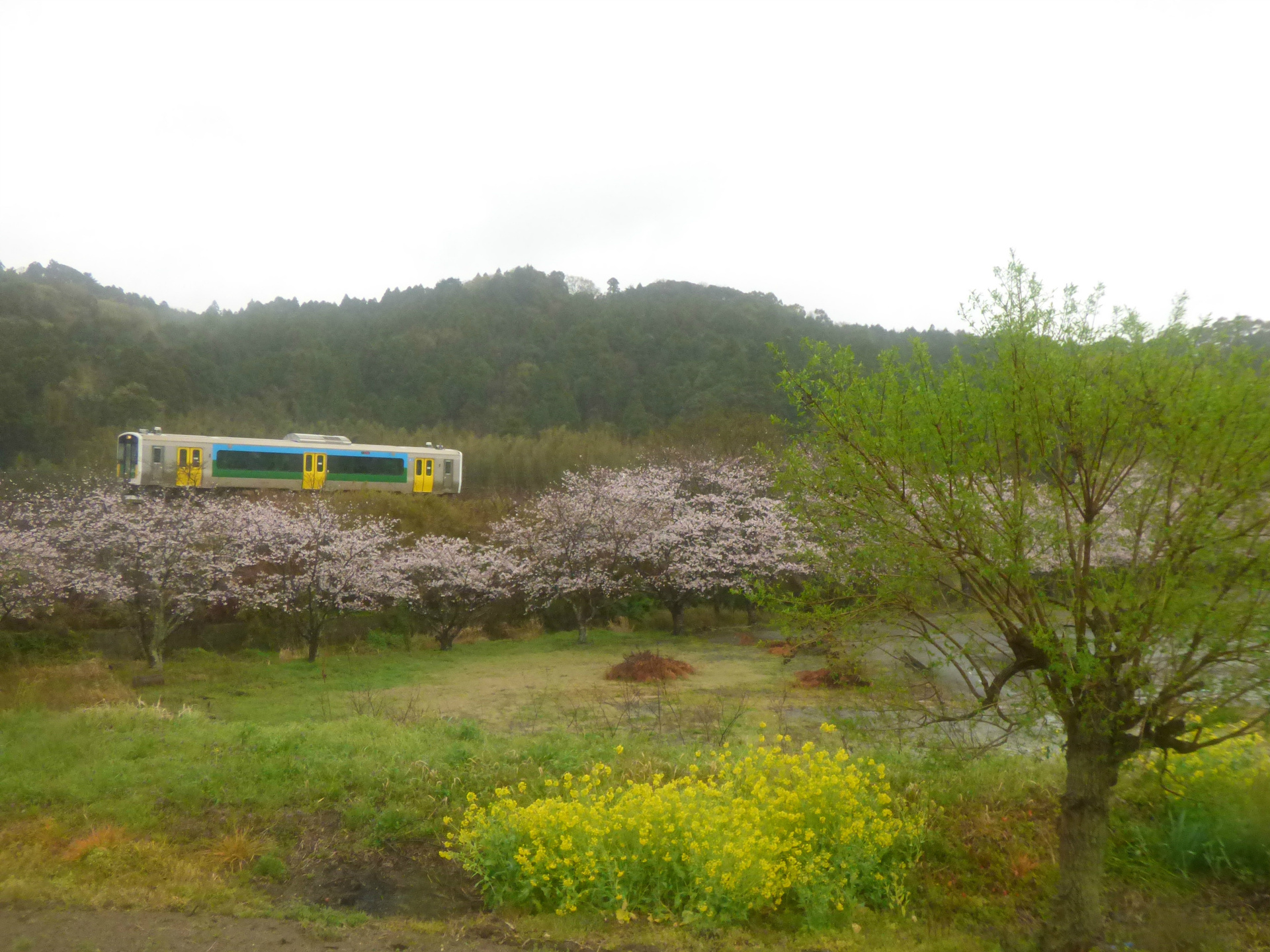 鉄道 気動車 ステンレス車も住めば都 壁紙1920x1440 壁紙館