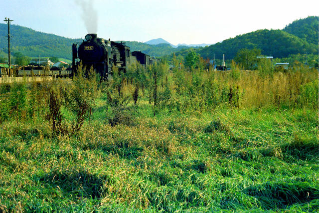 終着駅に休む9600