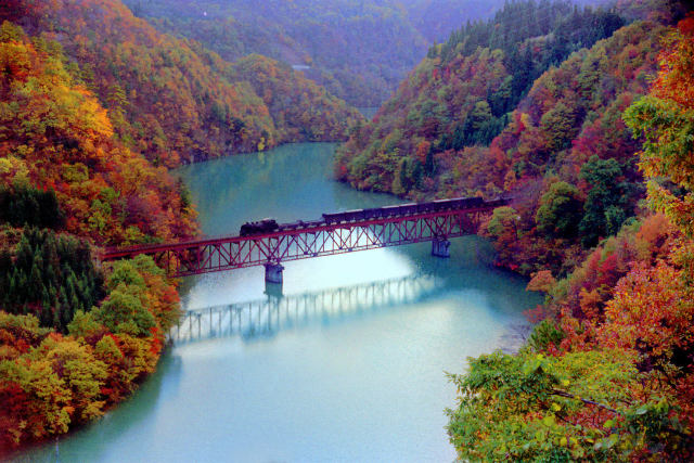 只見川を渡る貨物列車