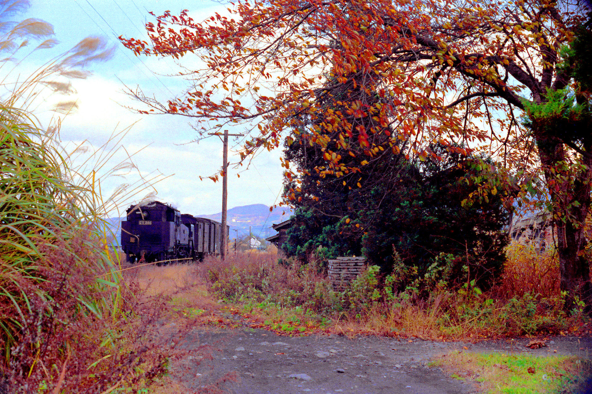 鉄道 蒸気機関車 会津の秋景色 壁紙19x1280 壁紙館