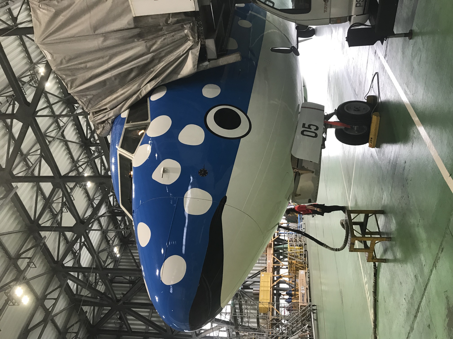 航空機 新ジンベイジェット Jta 737 800 壁紙19x1440 壁紙館 航空機 新ジンベイジェット Jta 737 800 壁紙19x1440 壁紙館