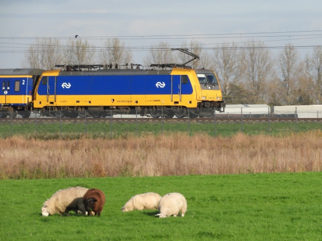 オランダを走る列車