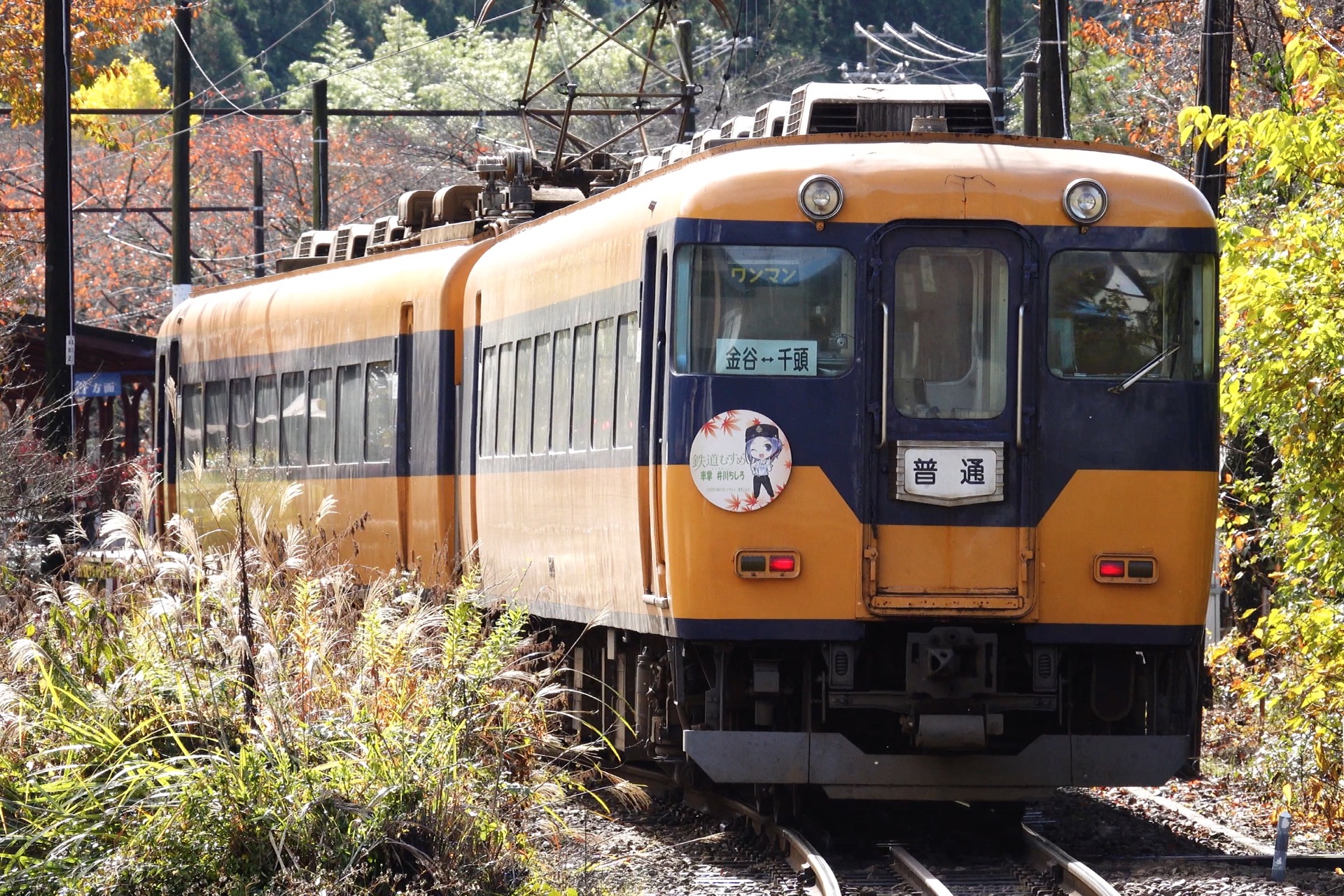 鉄道 電車 鉄道むすめ号 壁紙19x1280 壁紙館