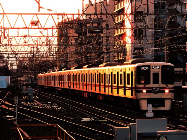 夕焼けの中を走る京王電車