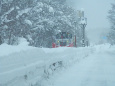 今年は雪が多い