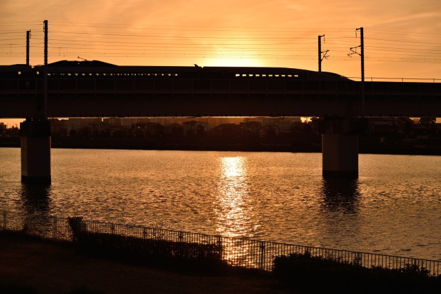 夕陽を受けて500系