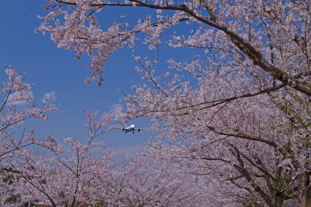 成田空港