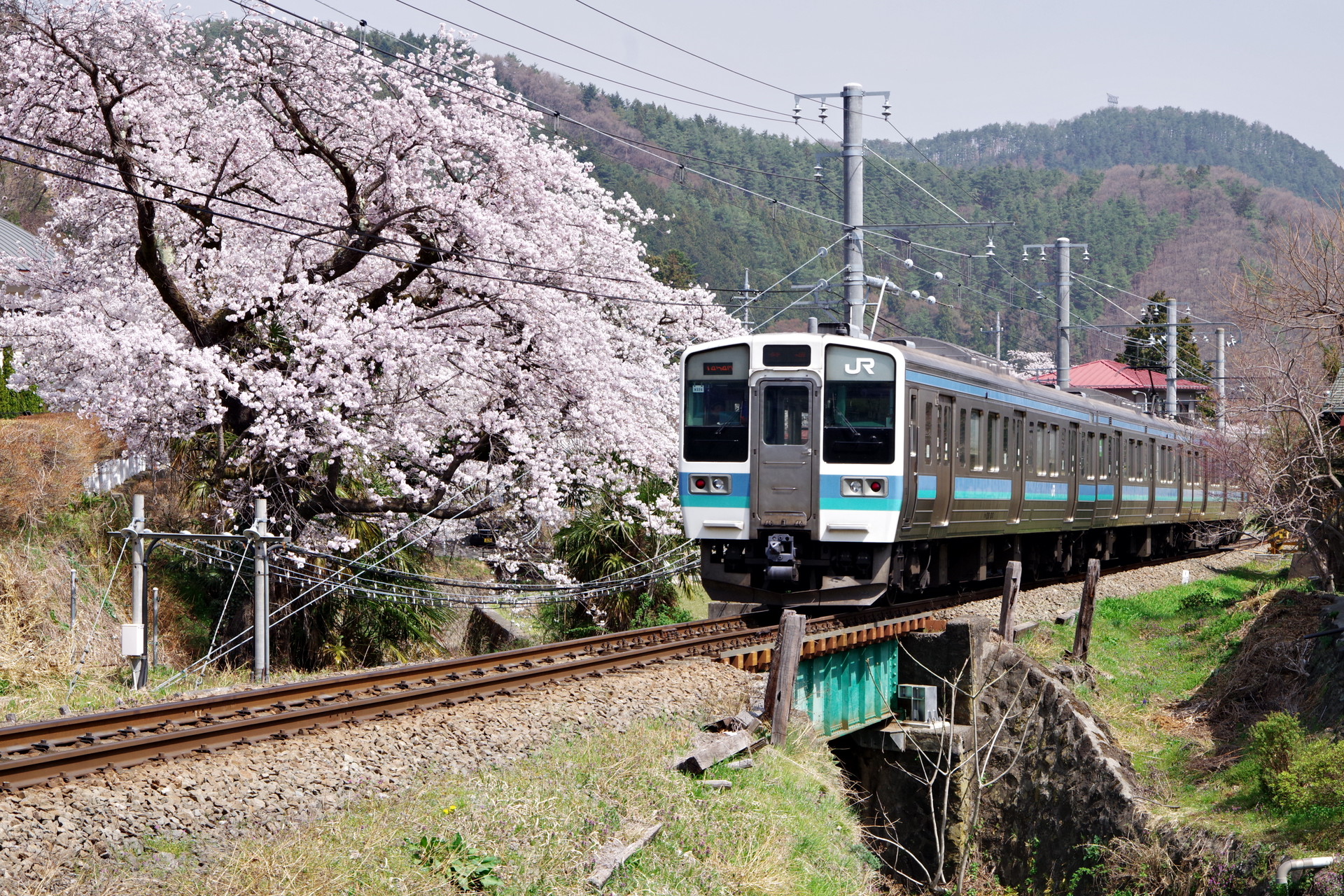 鉄道 電車 桜と電車 壁紙1920x1280 壁紙館