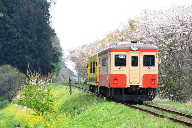 いすみ鉄道 キハ20 1303