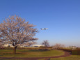 成田空港