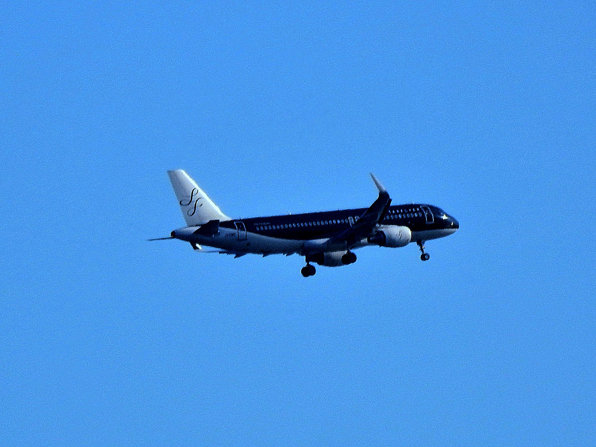 航空機 スターフライヤー 壁紙19x1440 壁紙館