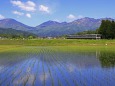 日光連山を後ろに