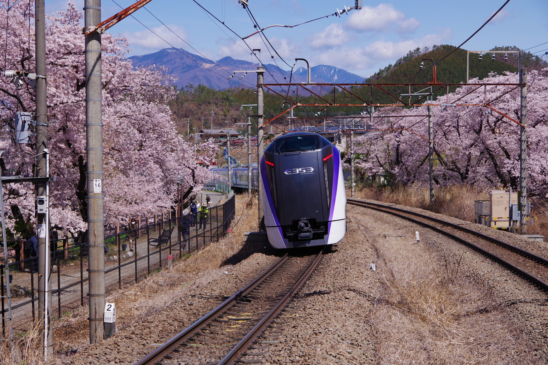 鉄道 電車 特急あずさと桜 壁紙19x1280 壁紙館