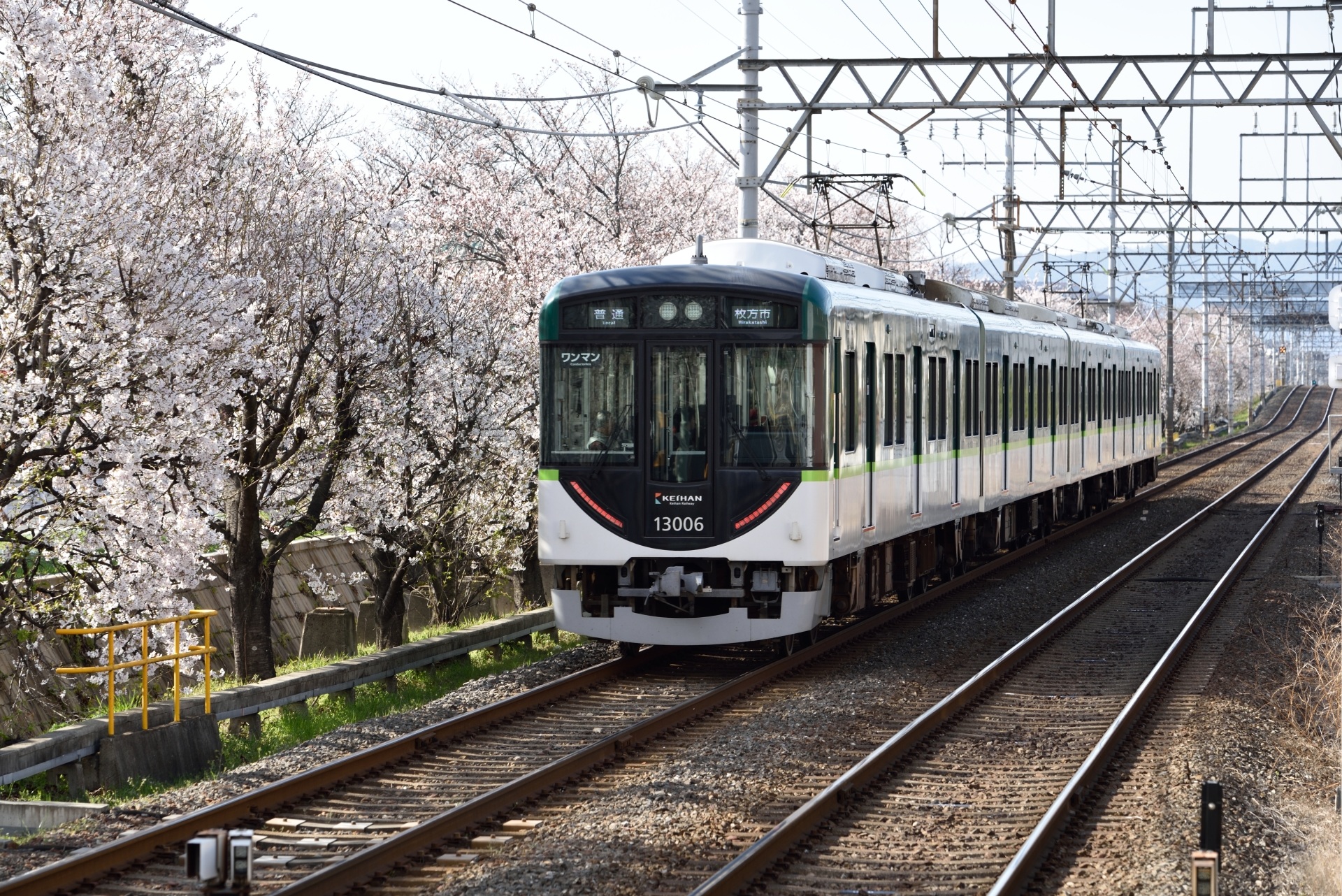 鉄道 電車 桜と京阪電車 壁紙19x12 壁紙館