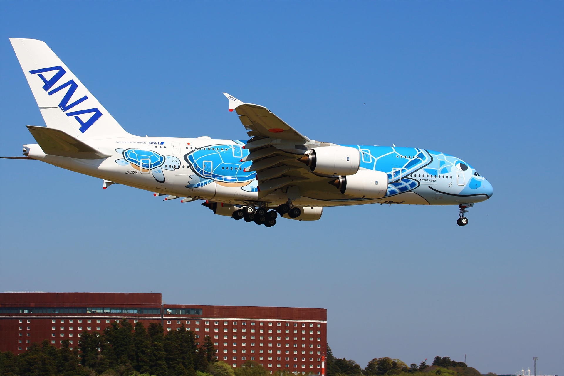 航空機 Ana380ウミガメ君 壁紙19x1280 壁紙館