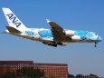 ANA380ウミガメ君