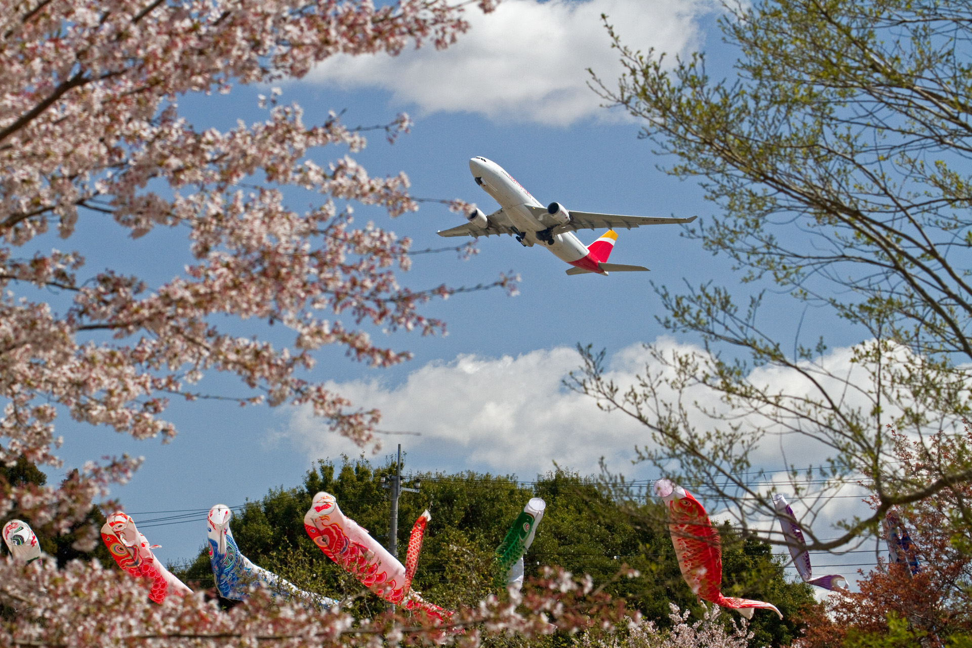 航空機 A330 Ec Mlb 壁紙1920x1280 壁紙館