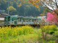 勝原駅に停車するラッピング車両