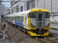 E257系 あしかが大藤まつり