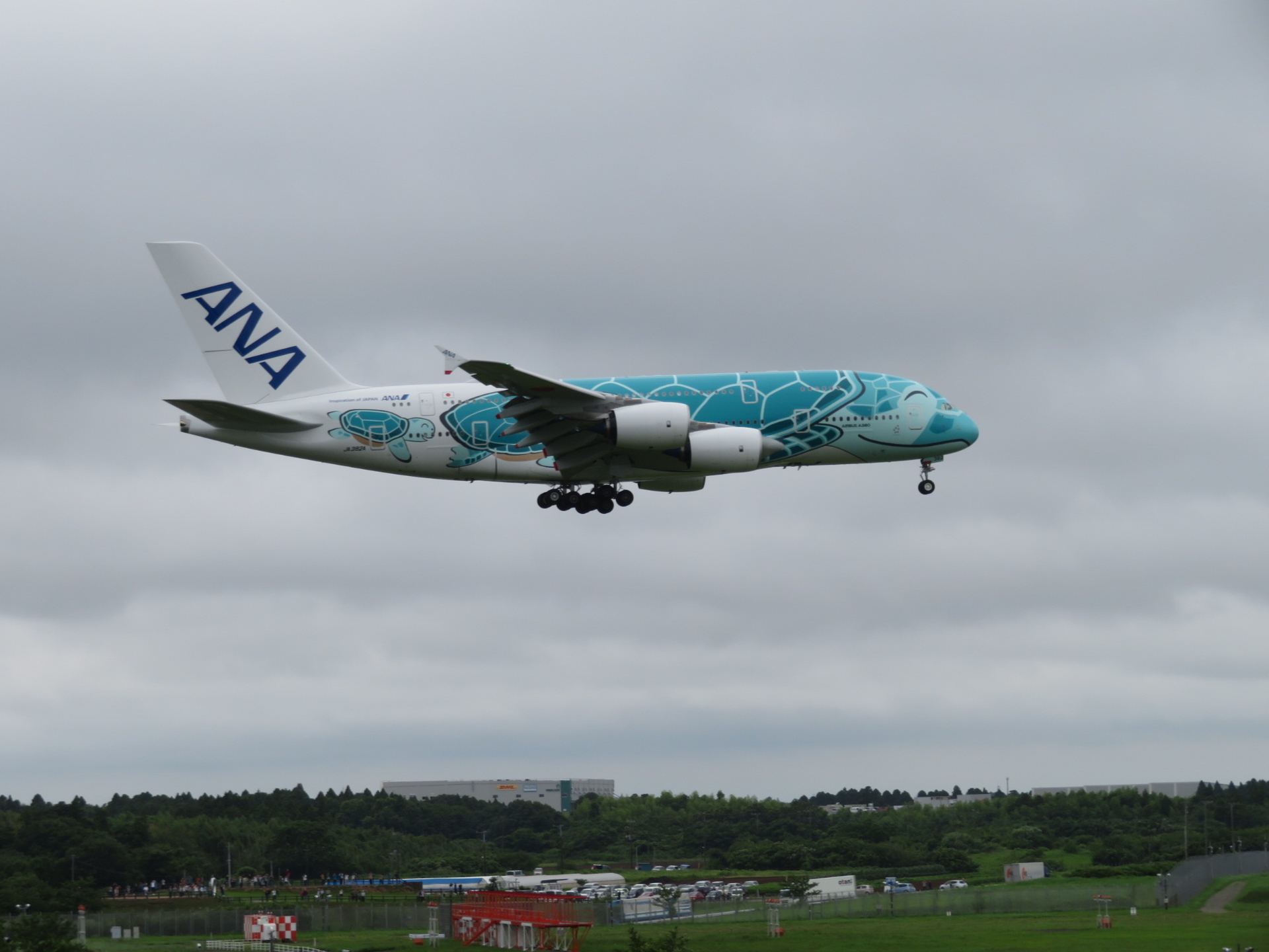 航空機 フライング ホヌ にっこり 壁紙19x1440 壁紙館