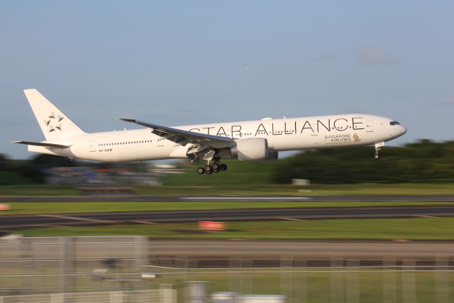 star alliance塗装のSQ