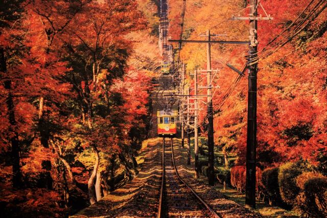 紅葉の高尾を走る