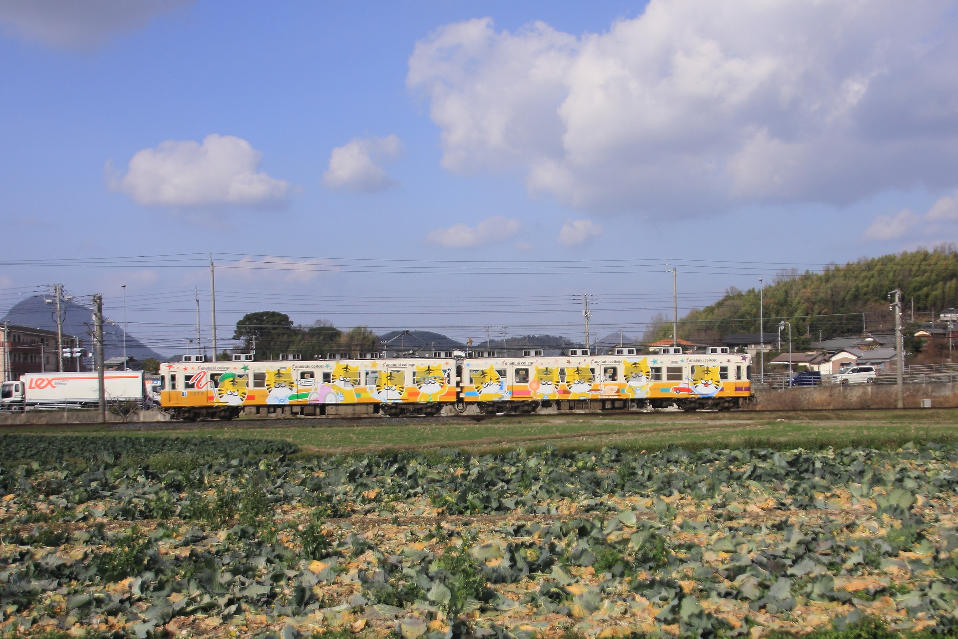 鉄道 電車 琴電 ローカル線 壁紙19x1280 壁紙館