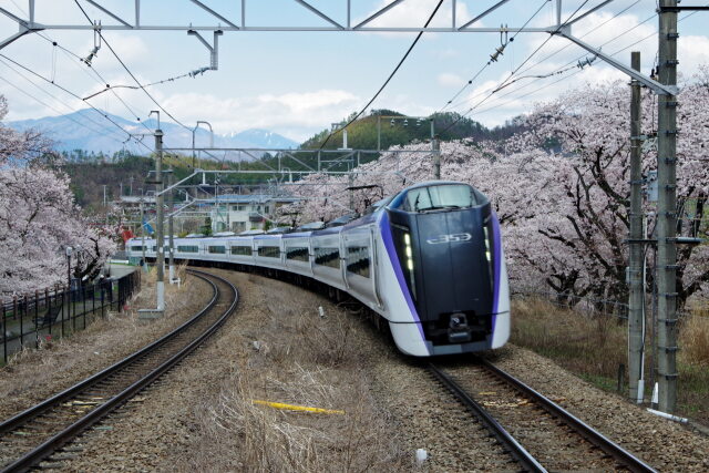 特急あずさと桜