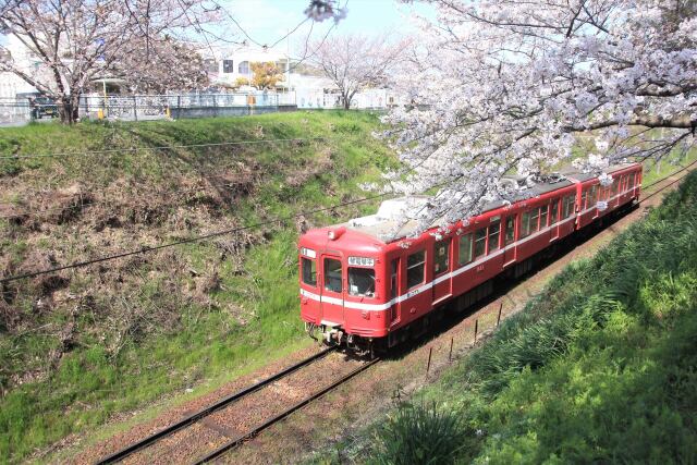 春のローカル電車
