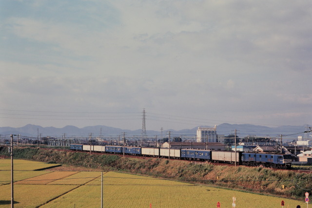 昭和の鉄道31 ゴハチの荷物列車