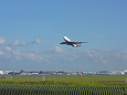 成田空港