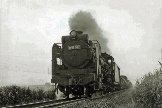 北陸本線のD51～1963年
