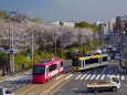 飛鳥山の桜と都電・2