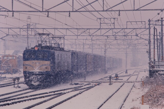 昭和の鉄道321 雪のゴハチ