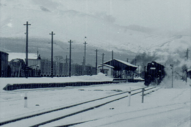 函館本線大沼駅のD51～1967年
