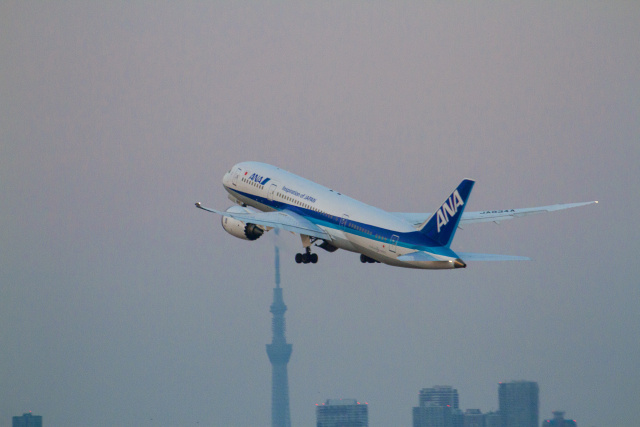 B787 JA834A