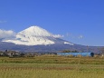 富士山とふじさん