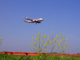 成田空港