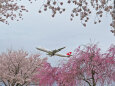 成田空港