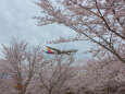 成田空港