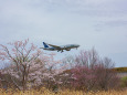 成田空港