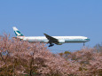 成田空港