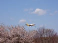 成田空港