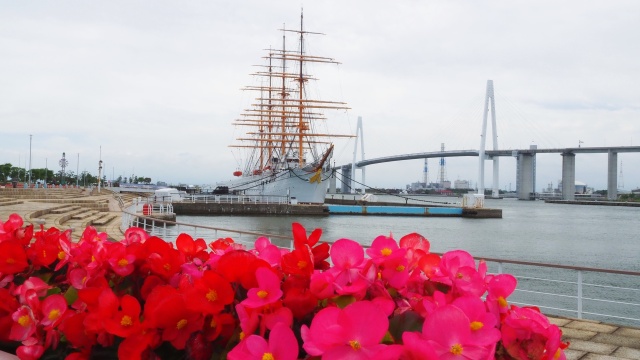 海王丸と新湊大橋