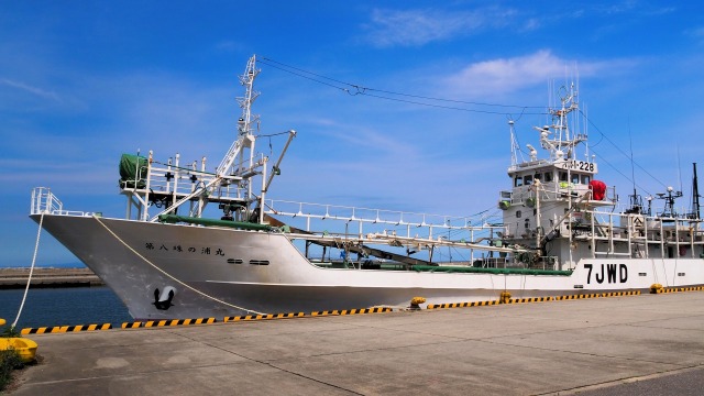 魚津港の漁船