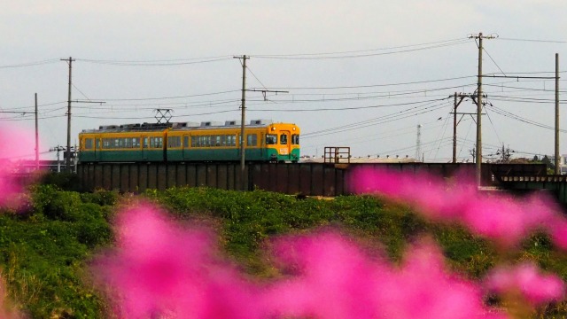 富山地方鉄道