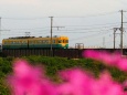 富山地方鉄道