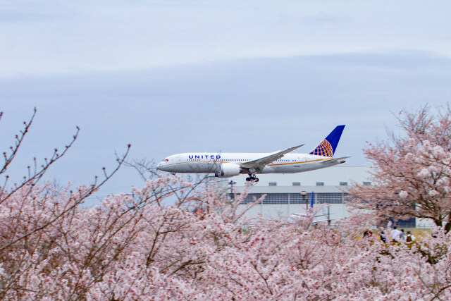 成田空港